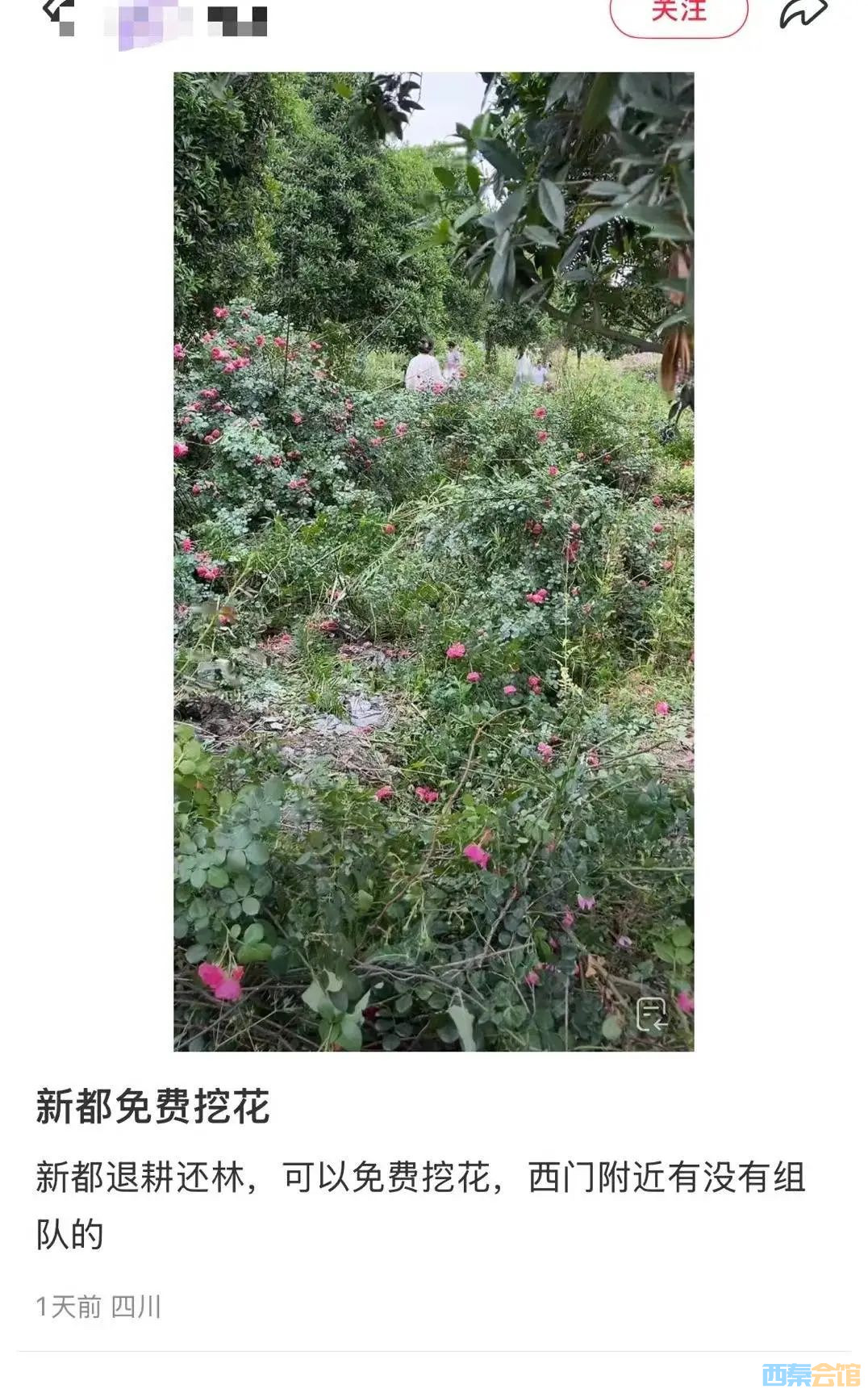 69.jpg