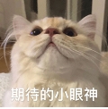 16.png