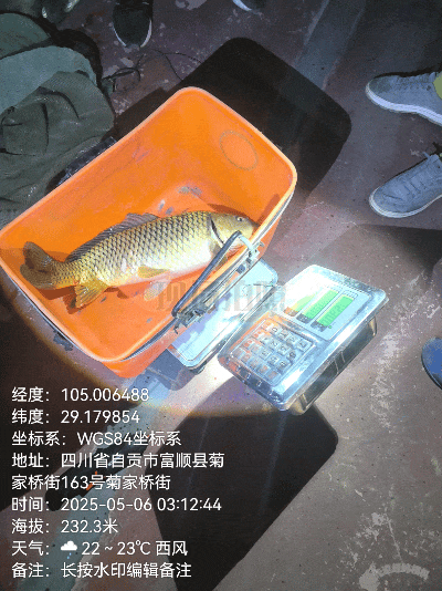 2.gif