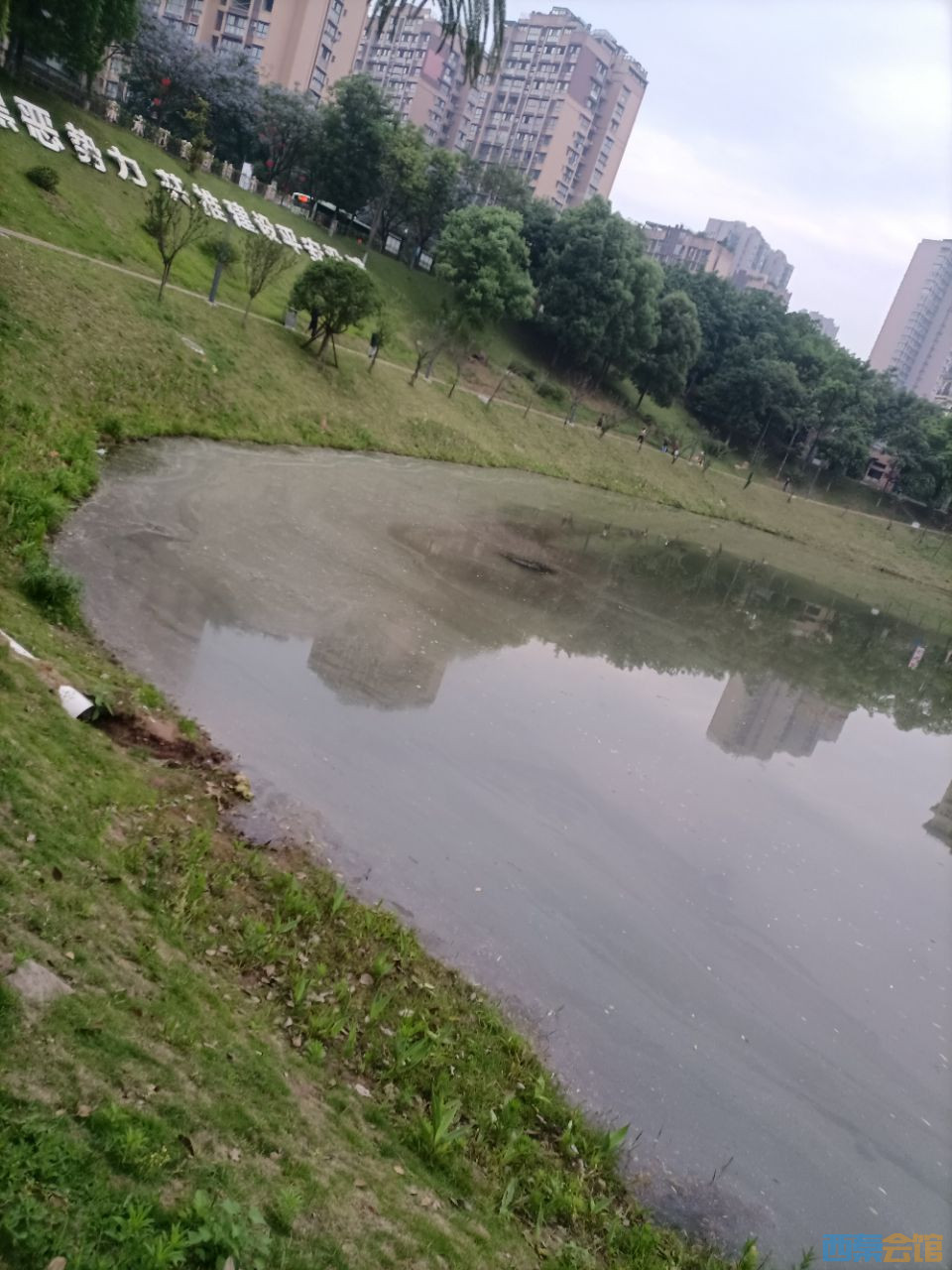 20250514071651front2_0_354590_FqyxBv3-BFY2a6Xlmx1YWjfMKIG7.jpg