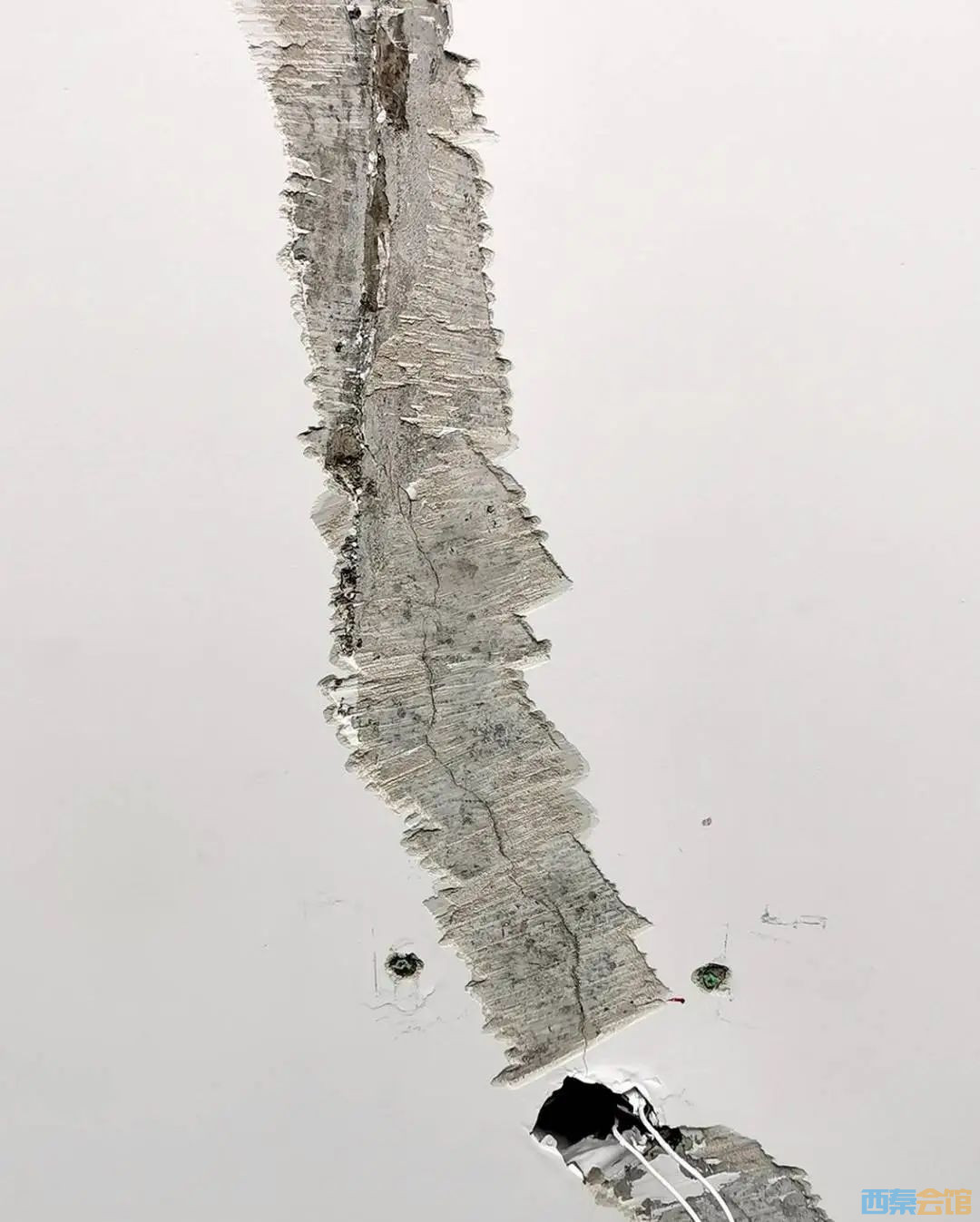 91.jpg