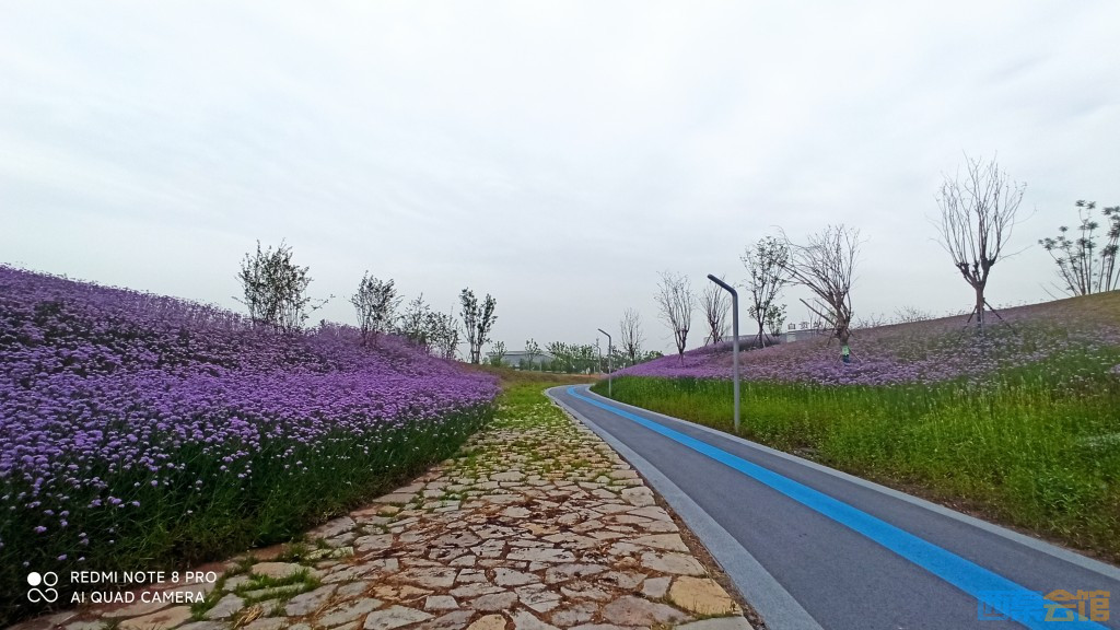 conew_1747406740149.jpg