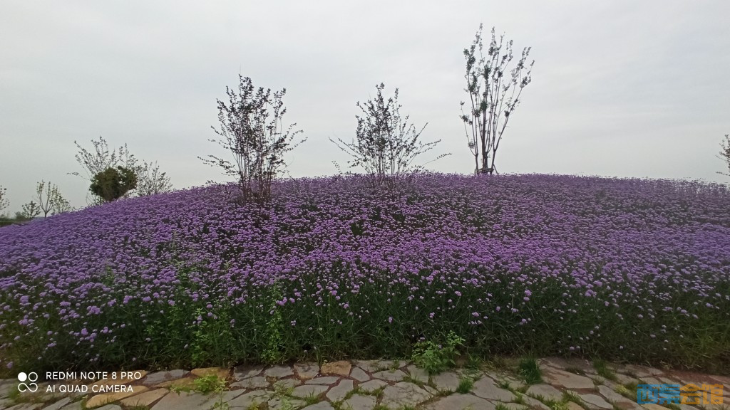 conew_1747406740159.jpg