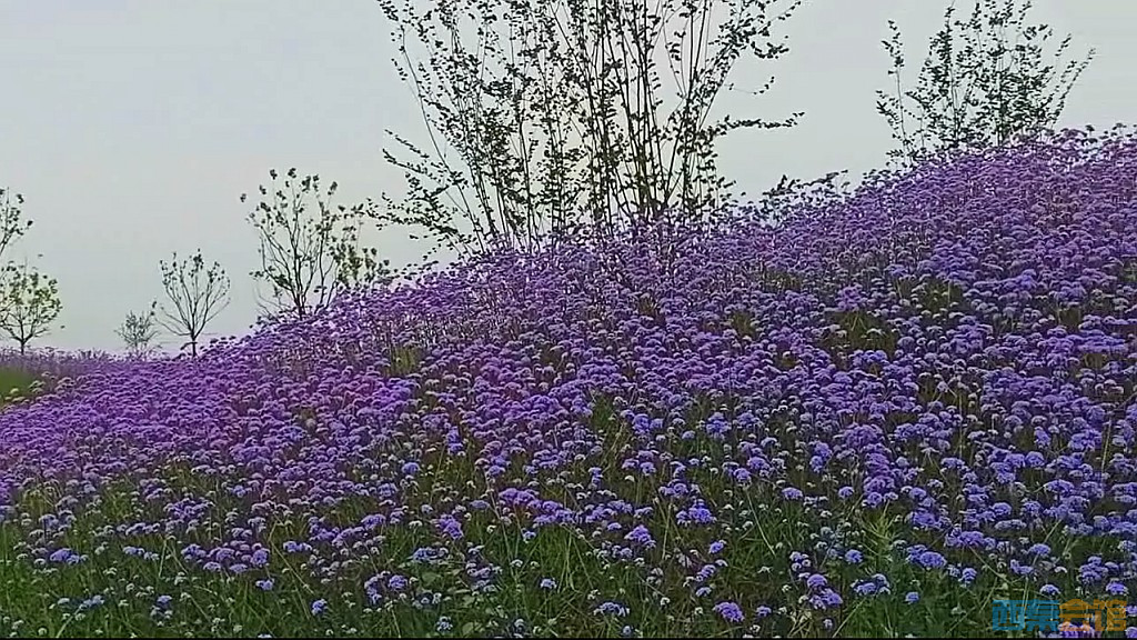 conew_qqͼ20250516232733.jpg