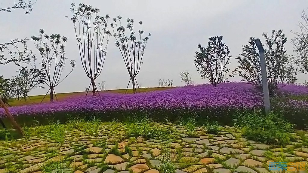 conew_qqͼ20250516232833.jpg