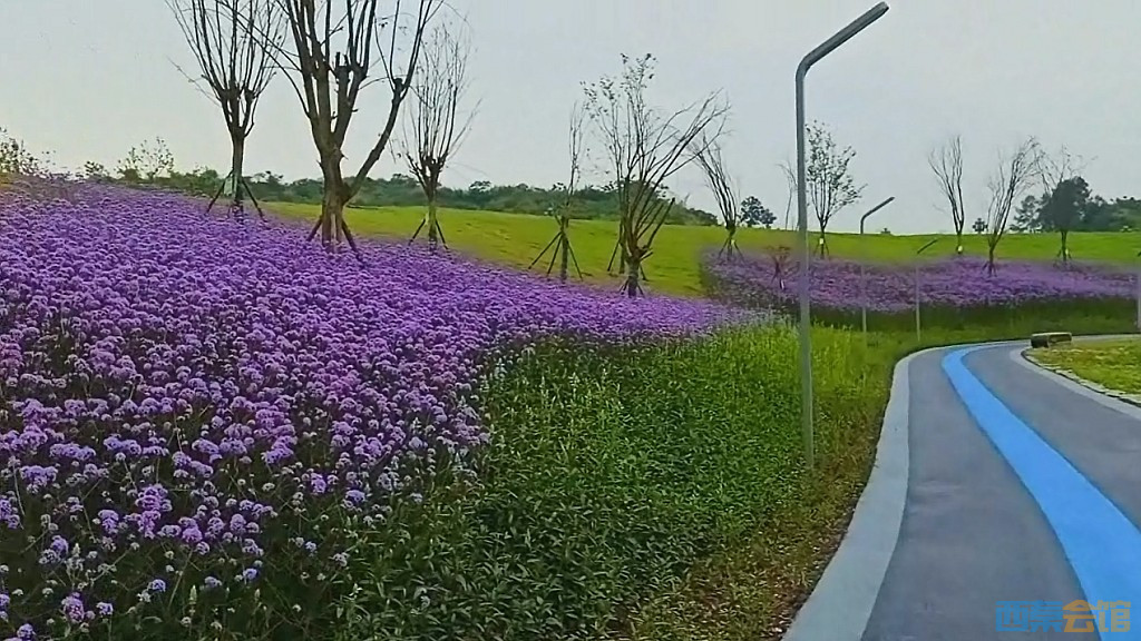 conew_qqͼ20250516232659.jpg