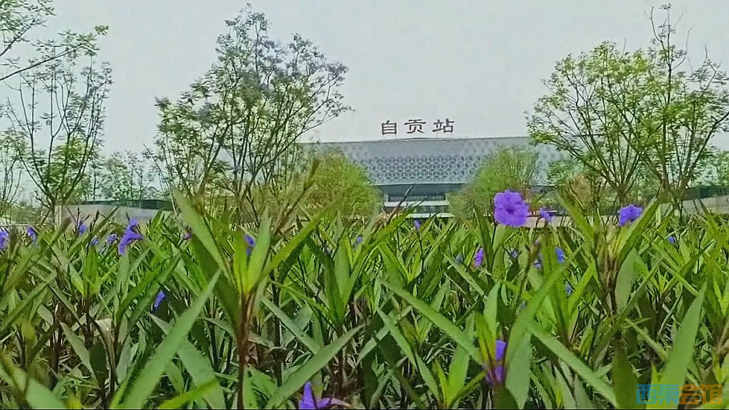 conew_qqͼ20250516233012.jpg