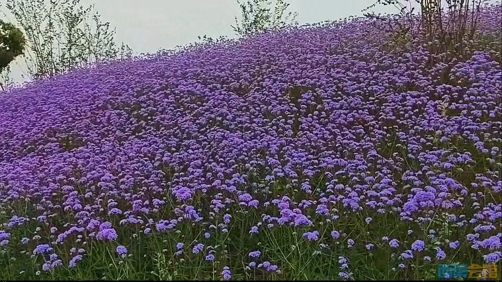 conew_qqͼ20250516233032.jpg