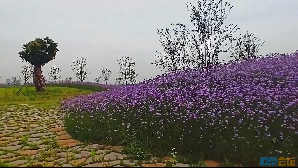 conew_qqͼ20250516232927.jpg