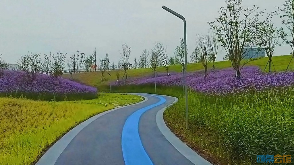 conew_qqͼ20250516232952.jpg