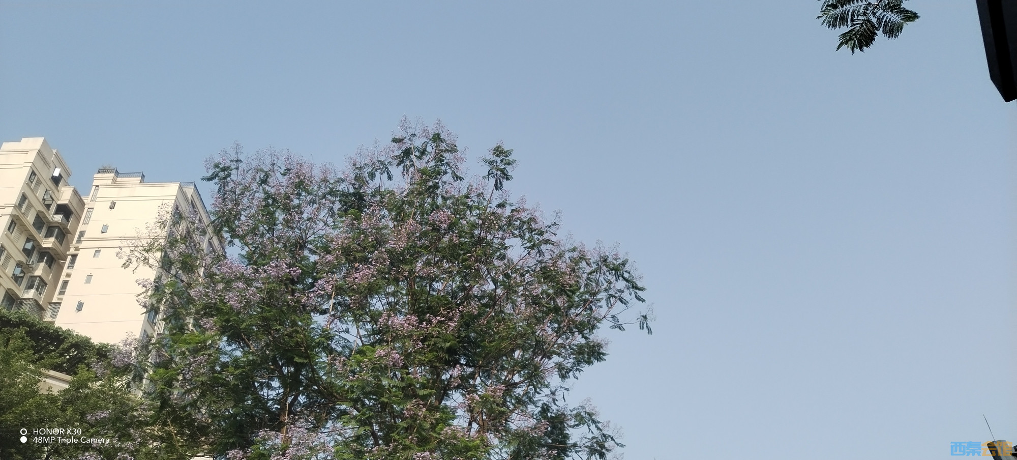 20250520123522front2_0_458566_FjY2L9JgH7x8Za7lJPkwlt_Ev7x_.jpg