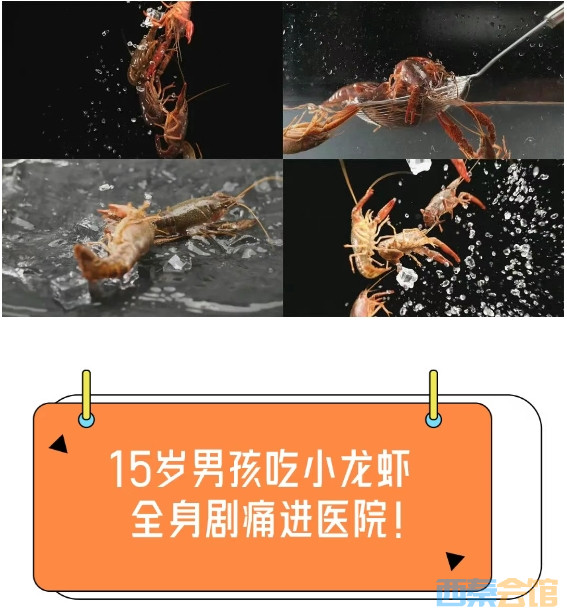 21.png