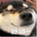 ΢Žͼ_20250601115535.png