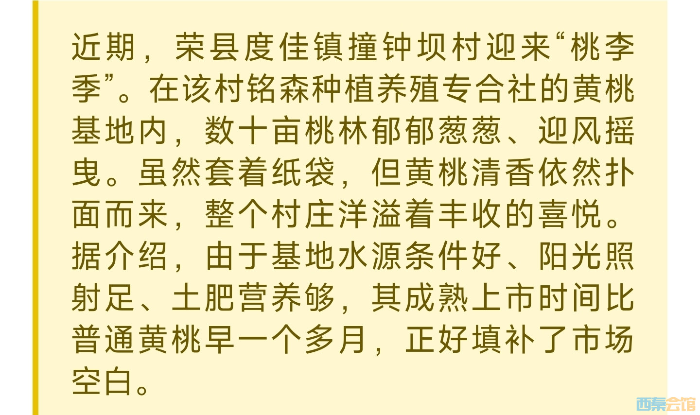 20250604225305front2_0_1552271_FhOTDP6sUPZaZwARScML5dPbLOdq.jpg