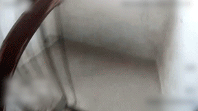 49.gif