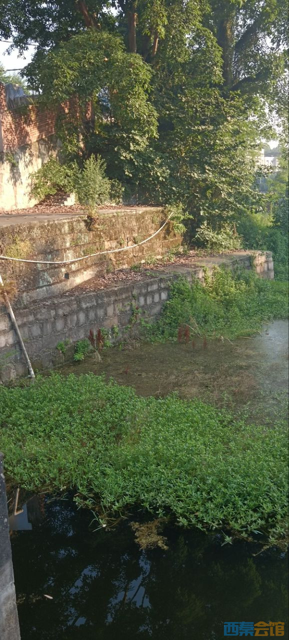 20250614102609front2_0_1741427_Fs9Okjjk8UWvRB_YQTqAlJCdng_x.jpg