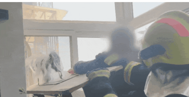 14.gif
