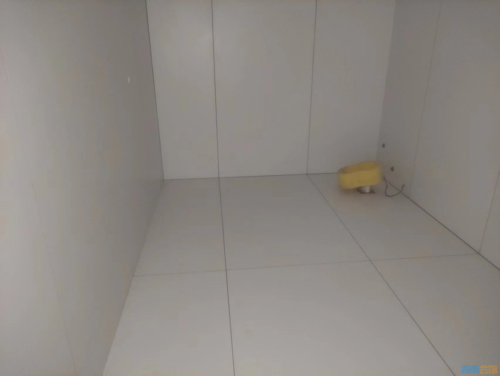 ΢ͼƬ_202506172032372.jpg