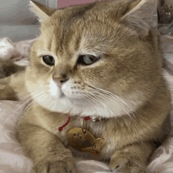 153401l21eerk5hkzp64d1.gif