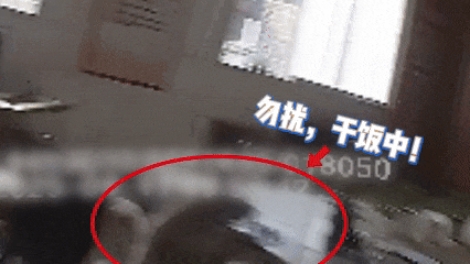73.gif