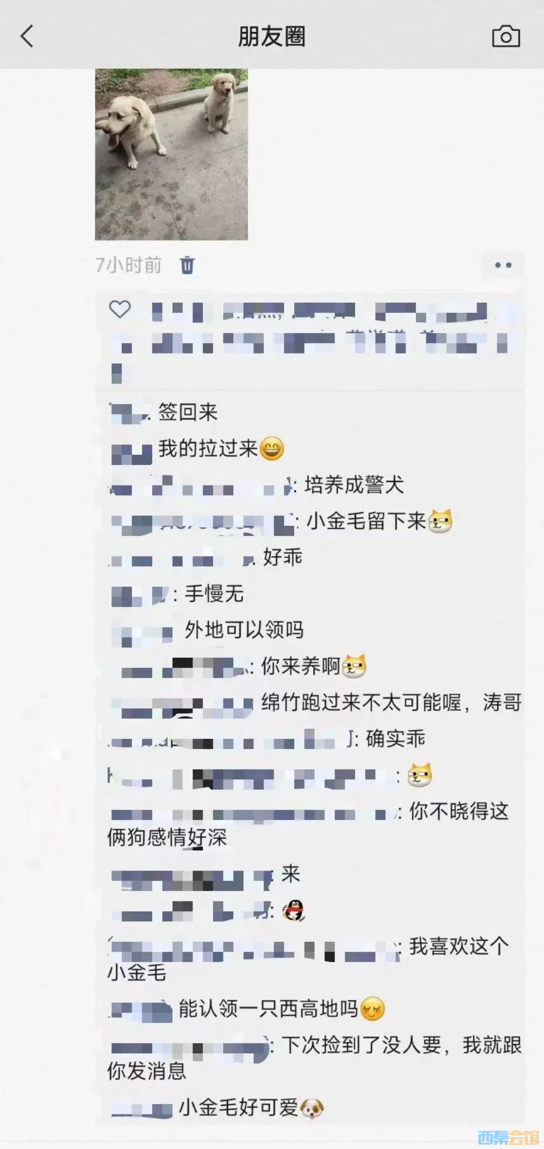 75.jpg