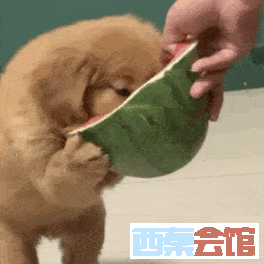 ΢ͼƬ_20250704114718.png