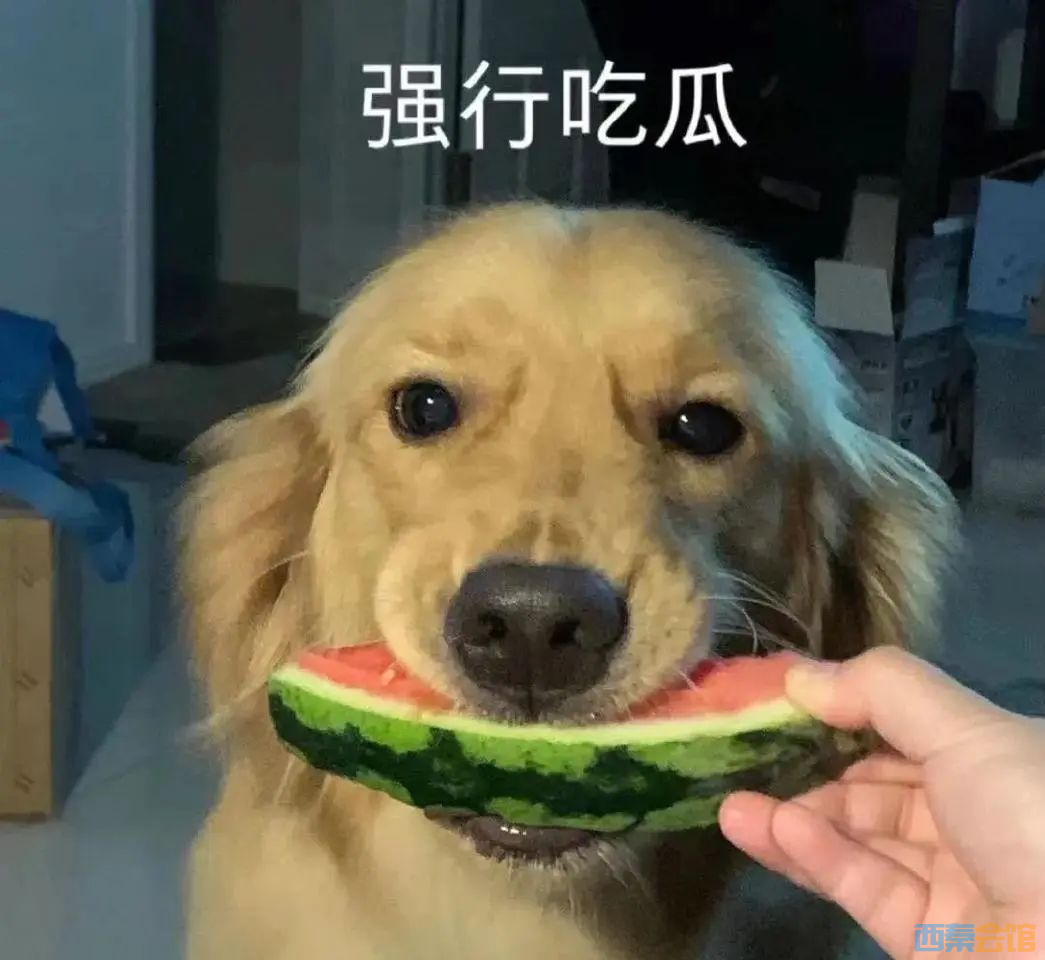 ΢ͼƬ_20250704114745.png