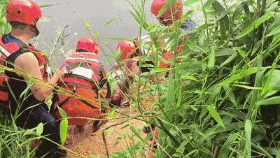 2.gif