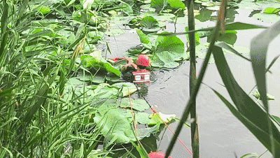 3.gif