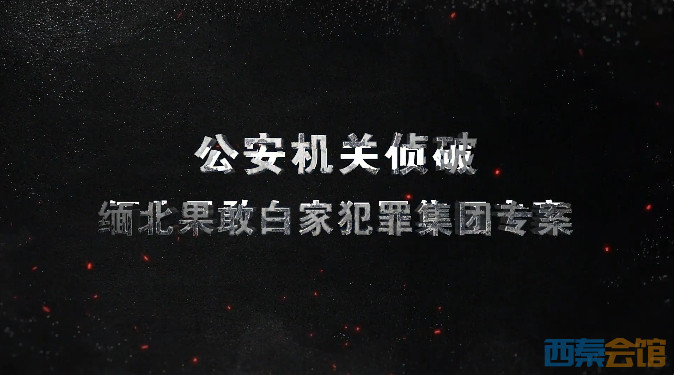 11.png
