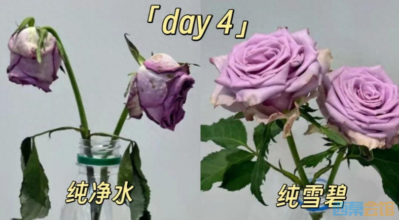 ΢Žͼ_20250721115740.png