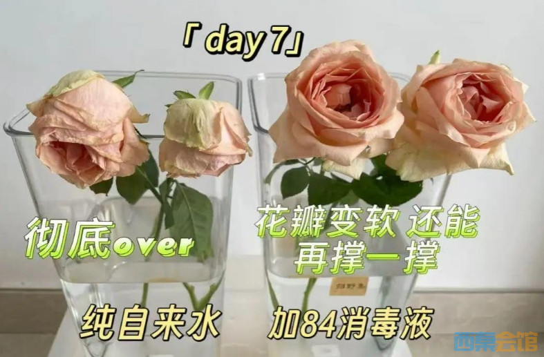 ΢Žͼ_20250721115746.png