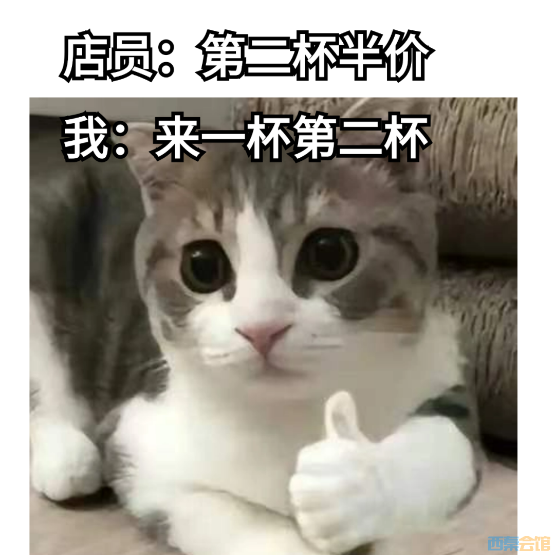 15.png