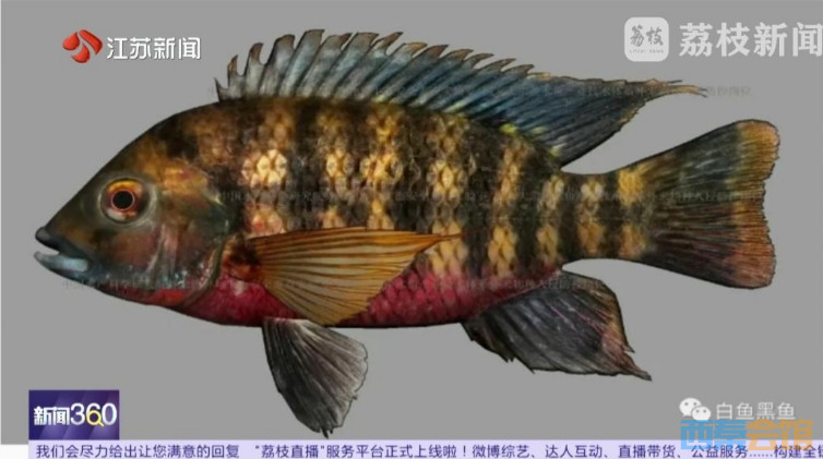 ΢Žͼ_20250729132408.png