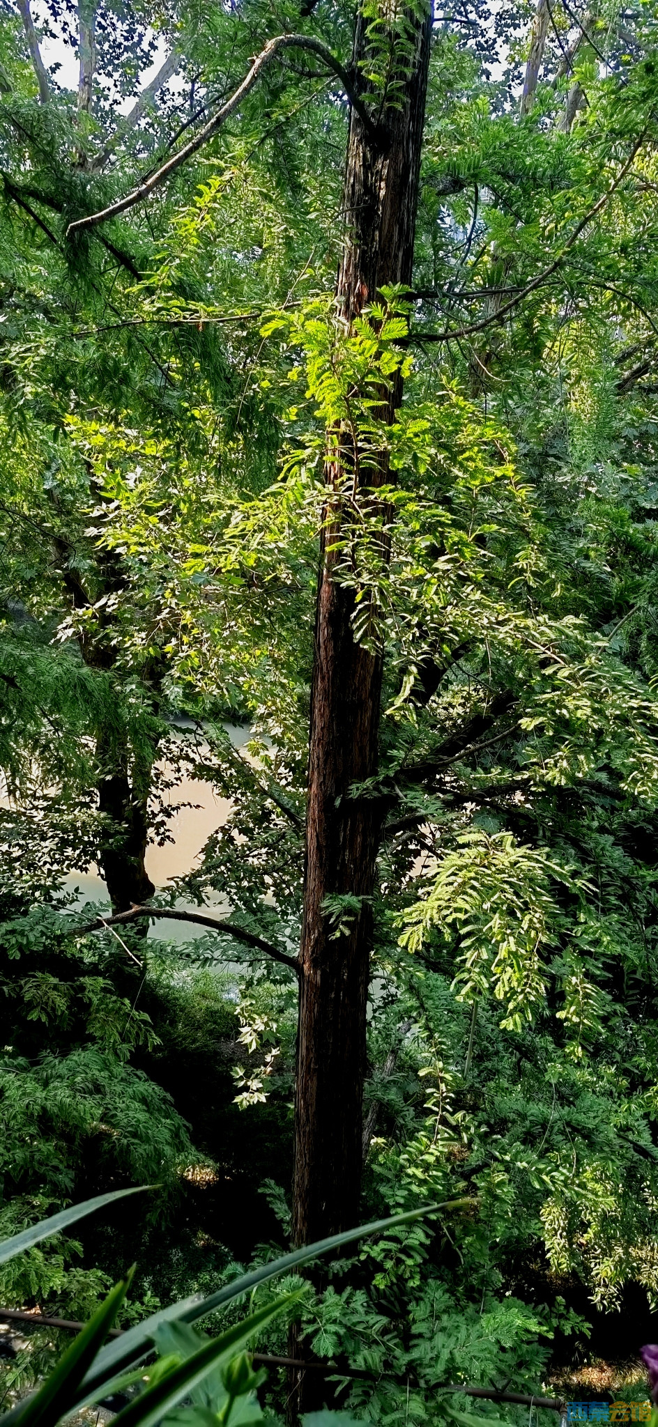 20250803094652front2_0_313205_Fu0LT4e90gU_ZcMMUe7HDmFEaoAe.jpg
