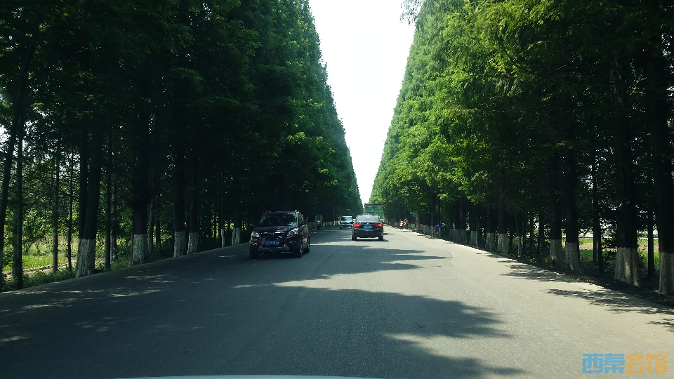 20250803094654front2_0_313205_Fqp4FhcObD0H_2CTCWLFK_SC6HMG.png