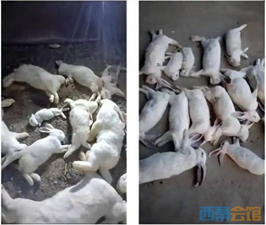 wechat_2025-08-04_144615_533.png