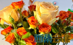 wechat_2025-08-05_164301_555.png
