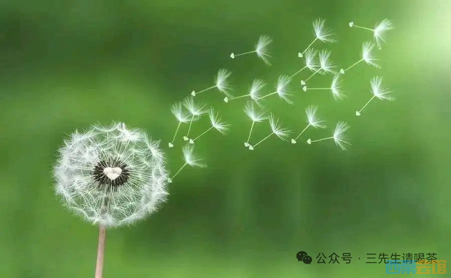 20250815085606front2_0_1555385_FgzltGxIiejiWjsMxRRwNzCUN6wR.jpg