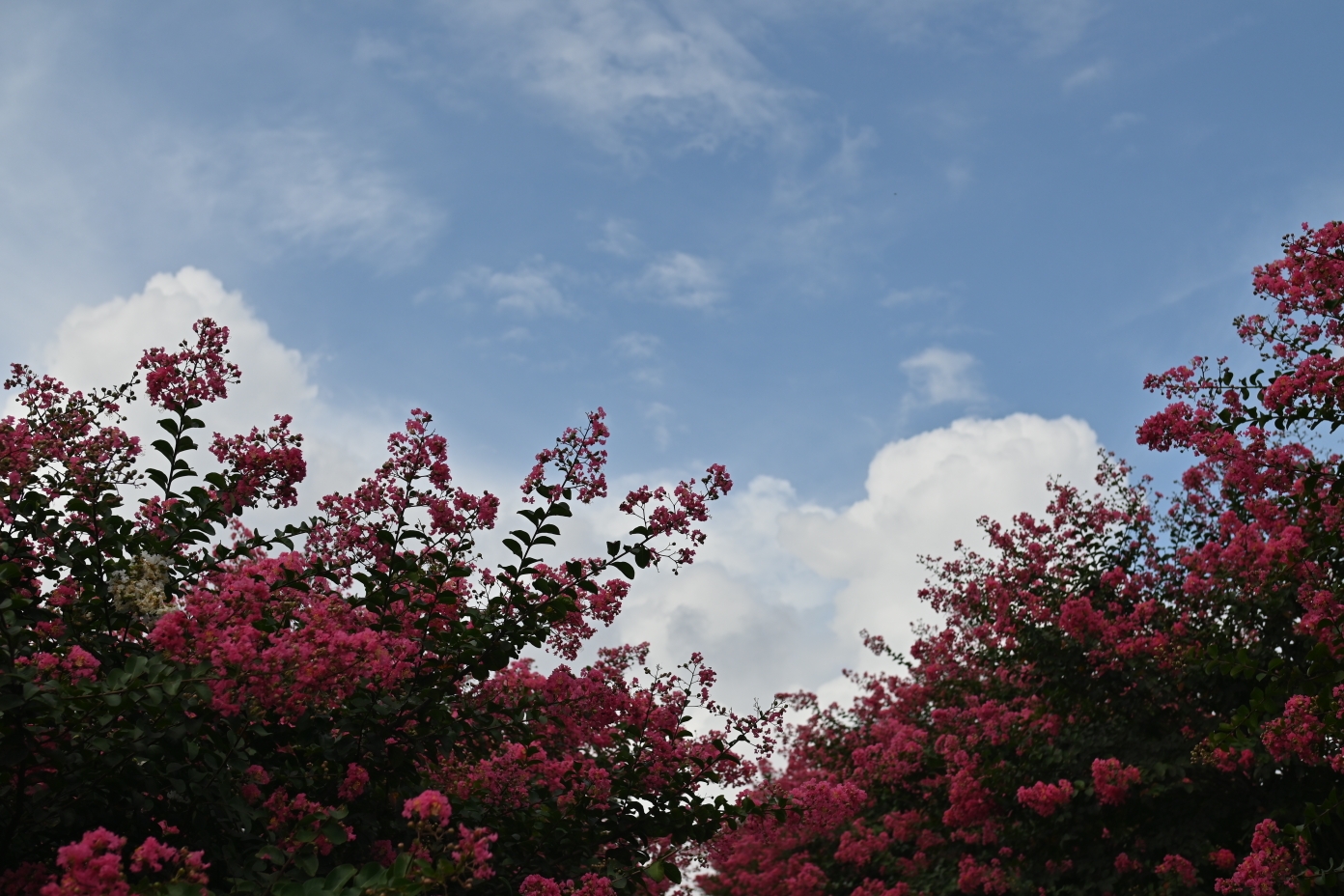 20250825114716front2_0_308781_FpNw7lSLKDEhcbrrmSBwjXtlMjh4.jpg