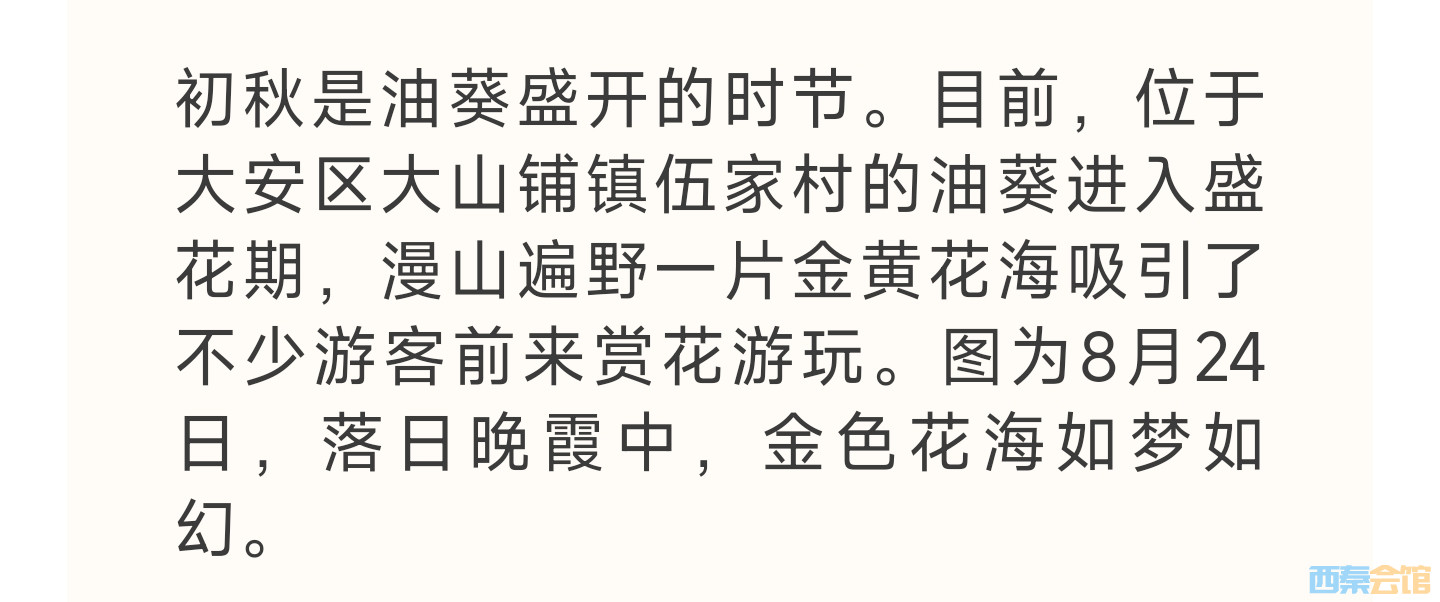 20250825135156front2_0_1552271_Fobai66954QP9uOK5ROkkPV2x2CN.jpg