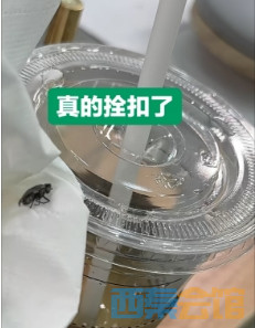 ΢Žͼ_20250825140946.png