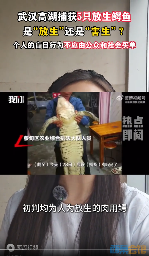 20.png