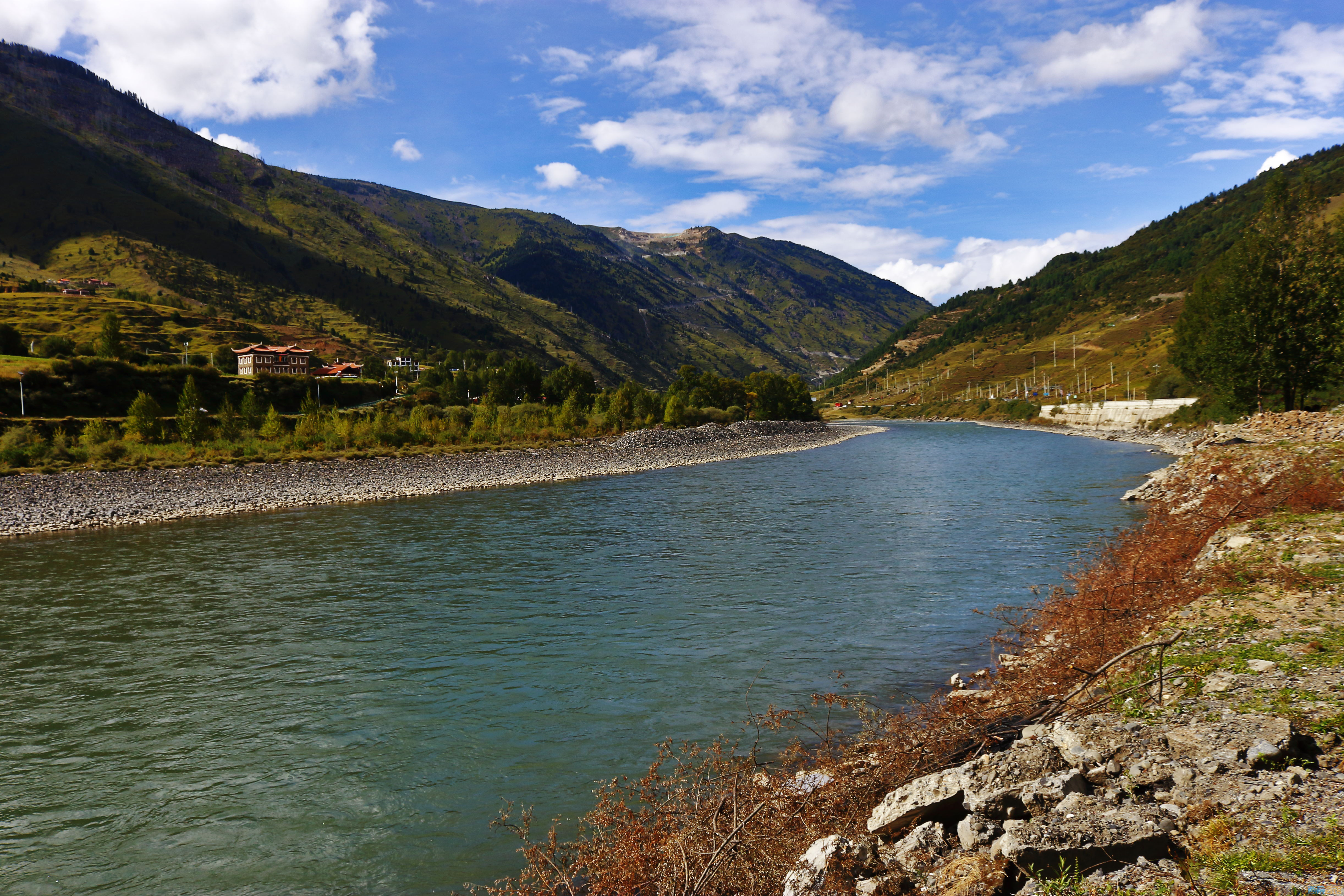 IMG_4736.JPG