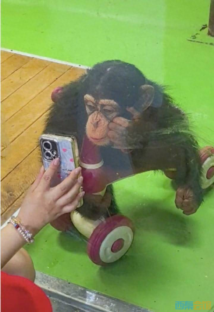 9.jpeg