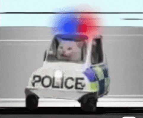 5.gif