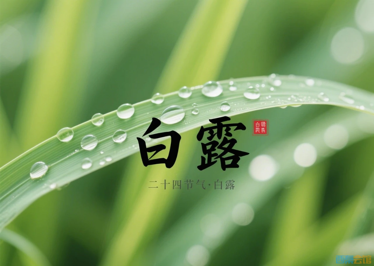 20250907141930front2_0_1555385_FhGYdATqJVsD643vESDsuonRpjMb.png