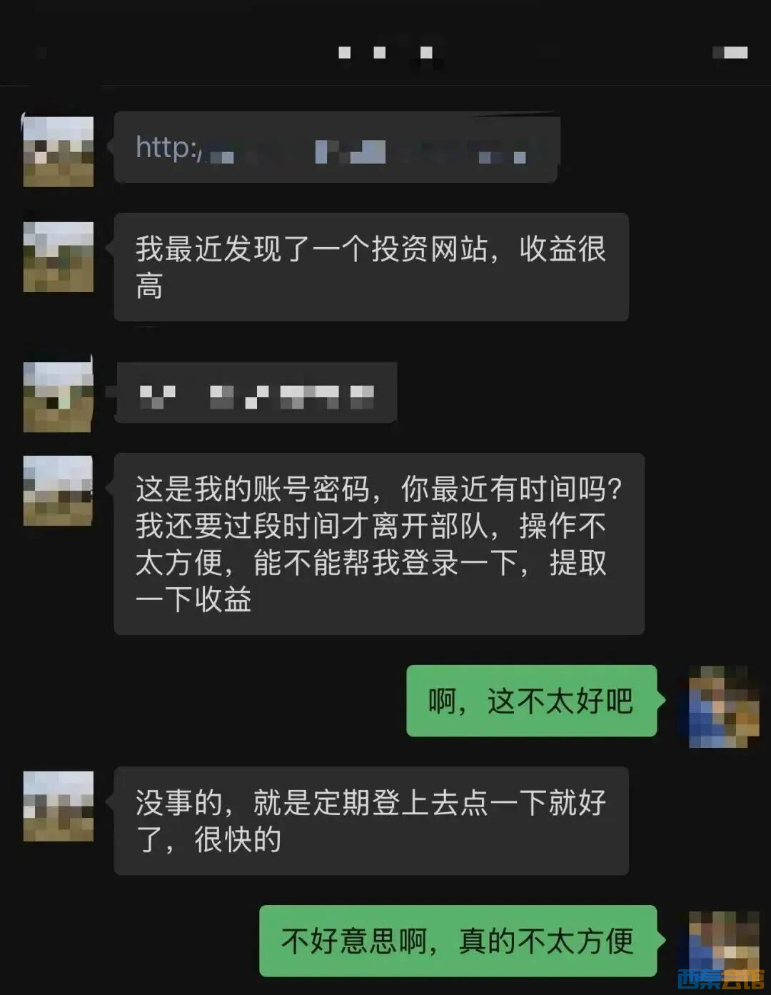 12.jpeg