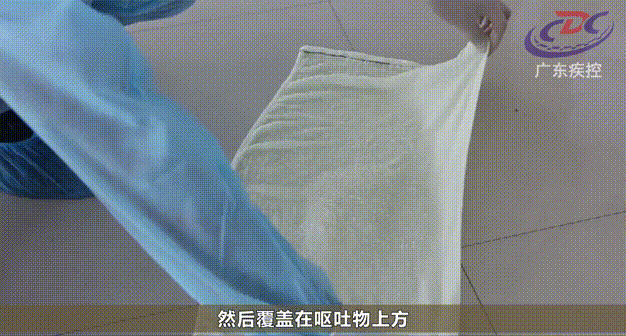 20250909204633front2_0_1552271_Fgi5JuD5sZTLvrik45nHDhkVucaj.gif