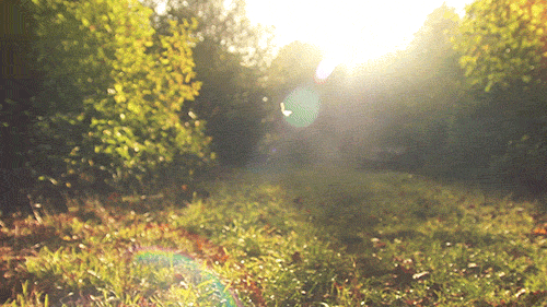 20250913120456front1_0_1433933_FlNcBOpQsP-dnrnOwkFWoKJUU04h.gif